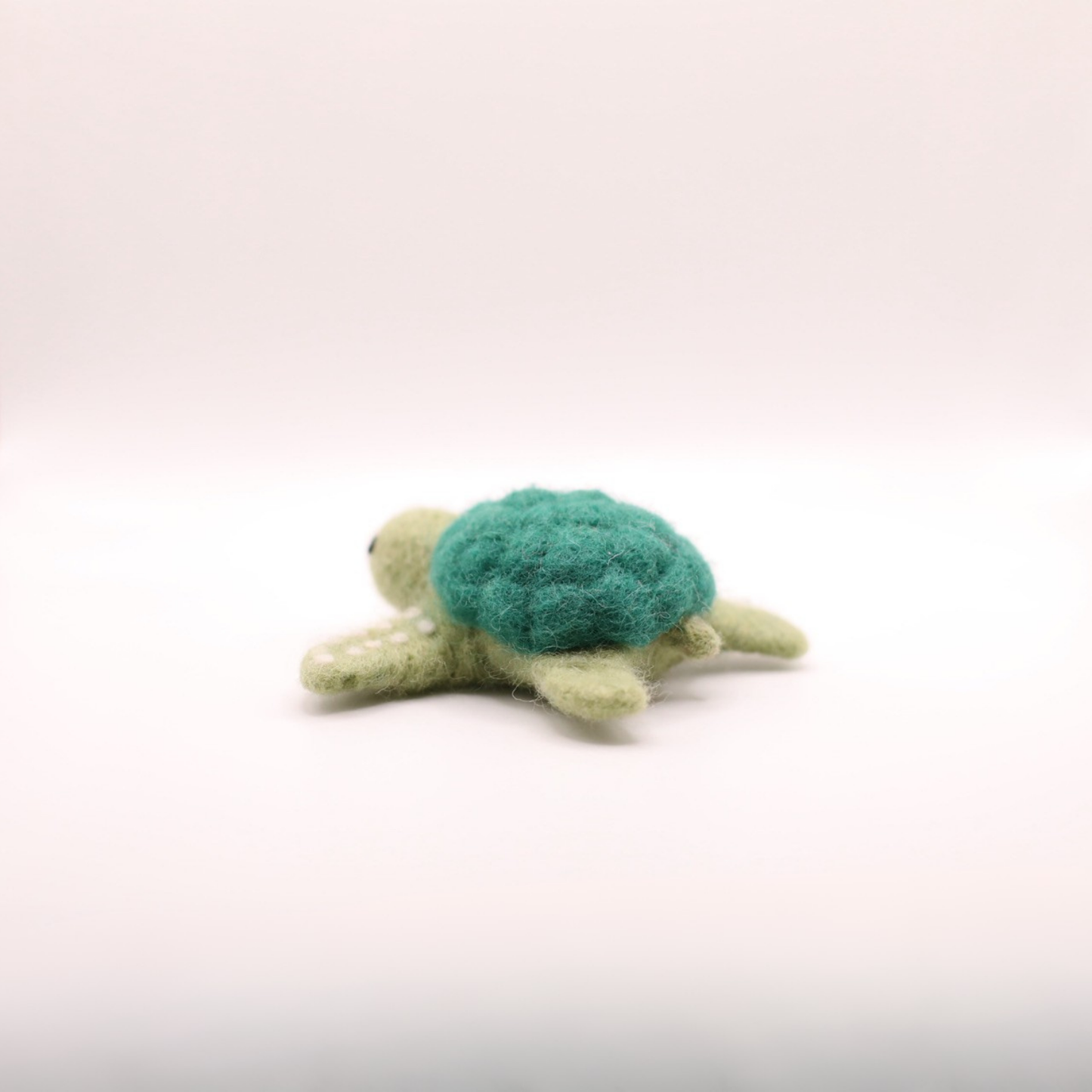 "Schorsch", die Schildkröte