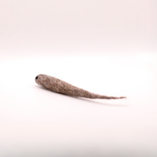 "Karla", die Kaulquappe