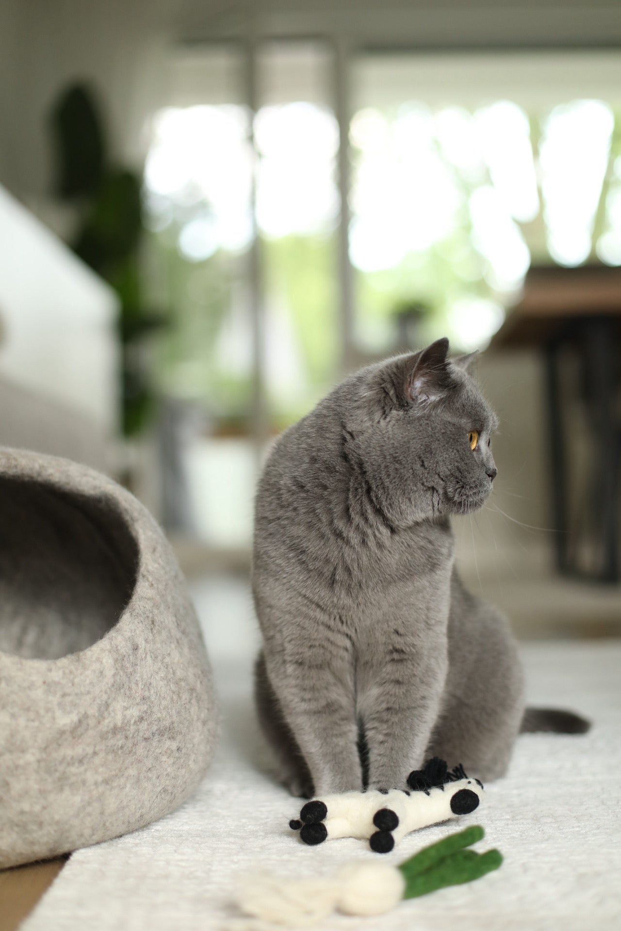 Katzenhöhle aus Filz