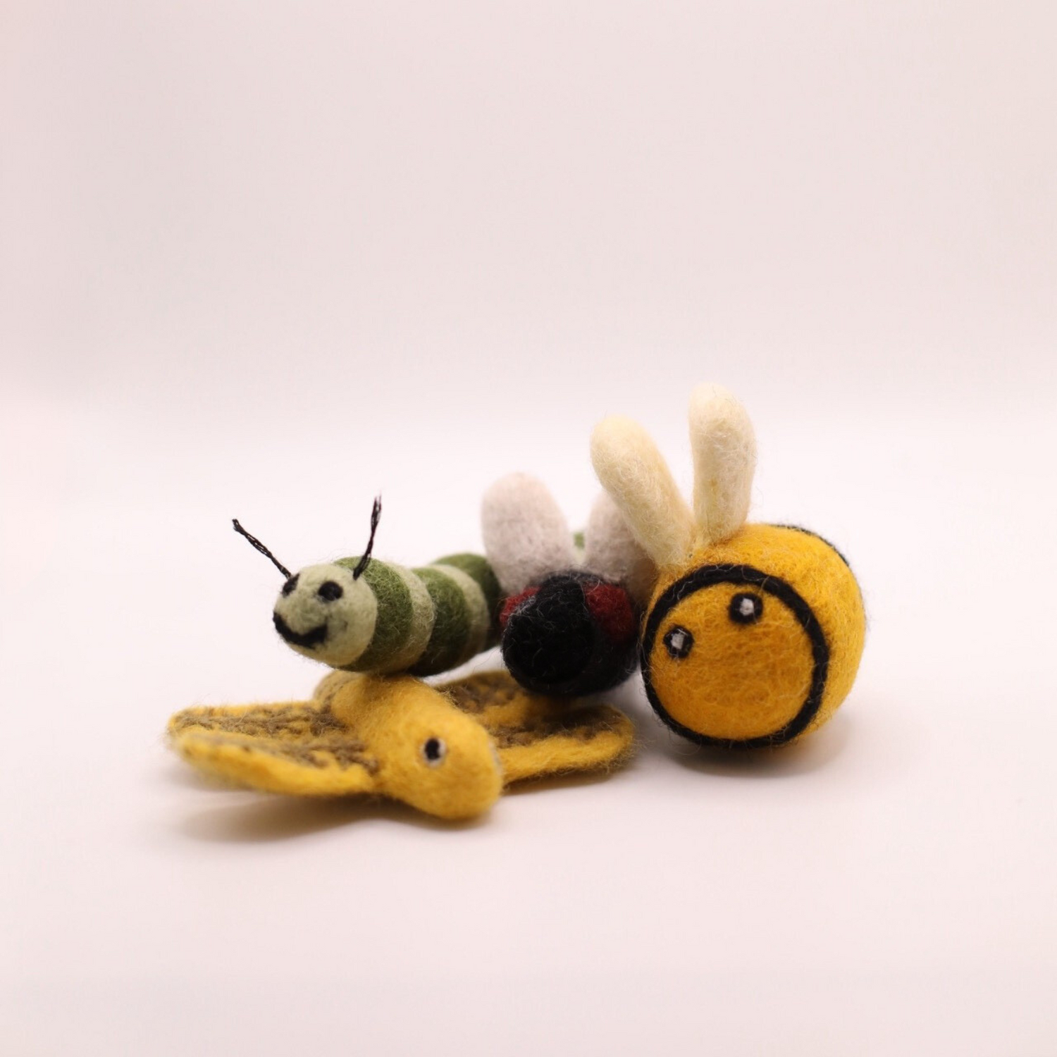 Insektenwelt