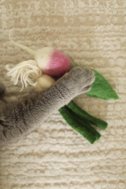 „Kurt Knoll“, der Knoblauch